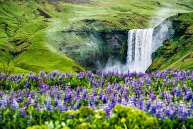 beautiful scenery of the majestic skogafoss waterfall in countryside of iceland in summer. skogafoss waterfall is the top famous natural landmark and tourist destination place of iceland and europe.
