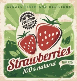 vintage poster template for strawberry farm. retro fruit label design. vector old paper texture food background.