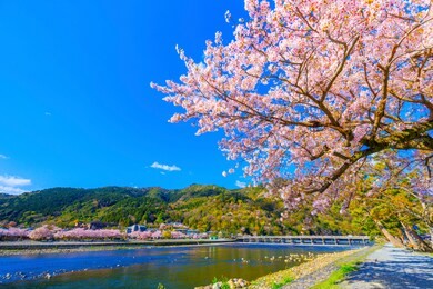 togetsukyo bridge in arashiyama kyoto japan