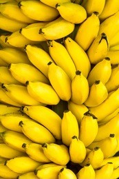 bunch of ripe bananas background