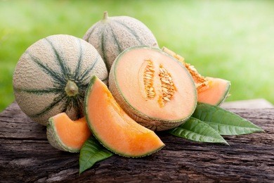 cantaloupe melons