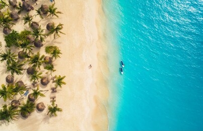 aerial view of umbrellas, palms on the sandy beach and kayaks in the sea at sunset. summer holiday in zanzibar, africa. tropical landscape with palm trees, parasols, boat, sand, blue water. top view