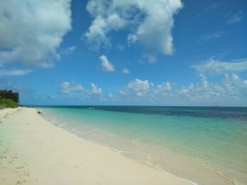 green island beach in cairns, australia