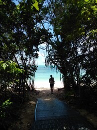 green island beach in cairns, australia