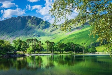 idyllic scenery of english lake district in spring.trees growing on lakeshore and green hill reflecting in lake water.tree branches in foreground and mountain peak in background.majestic landscape.