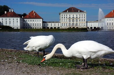 schloss nymphenburg in münchen, germany                             
