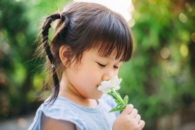 smell sensory learning from flower. cute asian kid exploring natural environment through outdoor activity like play, touch and see the real things is the best method for education in children. 