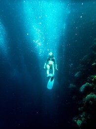 snorkeling in dahab blue hole reed
