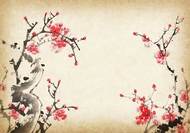chinese painting of flowers, plum blossom on white background.