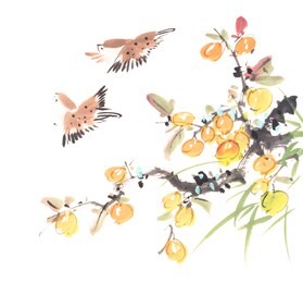 traditional chinese painting of loquat and two birds