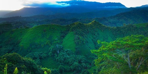 views on kuilau trail 2 on kauai hawaii. more with keyword series001.