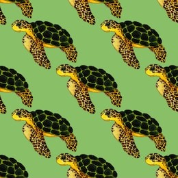 watercolor seamless pattern with turtle. summer exotic print. can be used for any kind of design. 