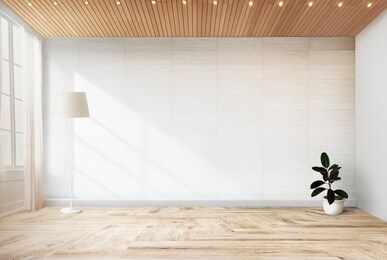 lamp and a plant in an empty room wall mockup