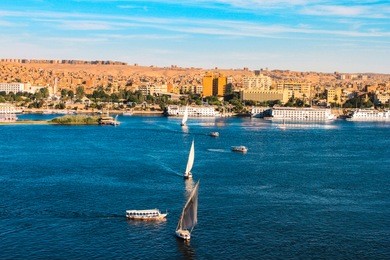 sailboats sliding on nile river, egypt. felluca (traditional boat) of egypt in aswan's sunset.