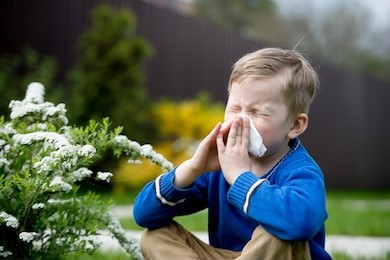 child with pollen allergy. boy sneezing and blowing nose because of seasonal allergy while sitting in a grass. spring allergy concept. flowering bushes and trees in background. child allergy
