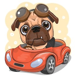 cute cartoon pug dog boy in glasses goes on a red car
