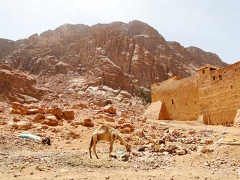 mount sinai, known as mount horeb or gabal musa, is a mountain in the sinai peninsula of egypt that is a possible location of the biblical mount sinai, considered a holy site by the abrahamic religion