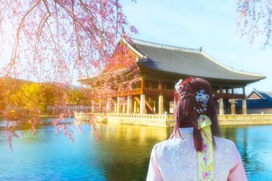 cherry blossom and beautiful old architecture and beautiful young asian woman traveler in korean national dress or hanbok traveling at gyeongbokgung palace in seoul,south korea 