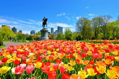 boston public garden