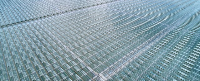 aerial photo of greenhouses shot from above.