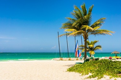 the tropical beach of varadero in cuba with coconut palms and colorful sailing boats