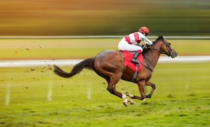 race horse with jockey on the home straight. shaving effect.