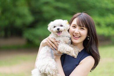 young asian woman with maltese relaxing in park