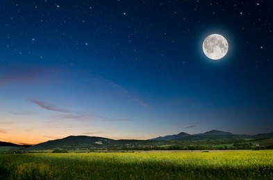 full moon and rape board