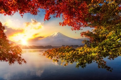colorful autumn season and mountain fuji with morning fog and red leaves at lake kawaguchiko is one of the best places in japan