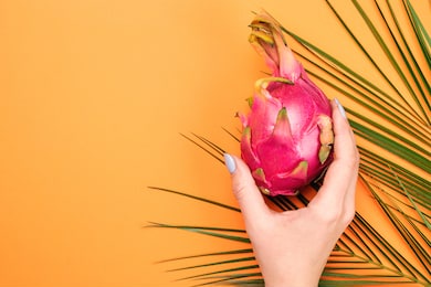 summer background with dragon fruit and palm leaf. flat lay style, top view. woman hand take pitahaya from table. tropical fruit on orange background with copy space.