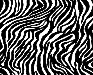 full seamless zebra animal skin pattern. black and white design for textile fabric printing. suitable for fashion use.