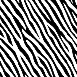 full seamless zebra animal skin pattern. black and white design for textile fabric printing. suitable for fashion use.