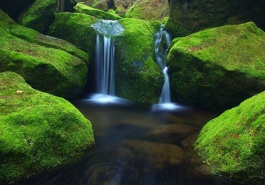 cascade on small mountain stream, water is running over basalt boulders. cold stream between mossy rocks. small waterfall run over moss.