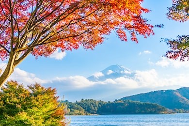 beautiful landscape of mountain fuji with maple leaf tree around lake in yamanashi japan