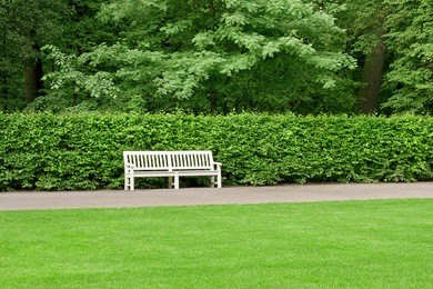 park bench and hedge