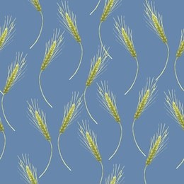 acrylic drawn barley ears on blue background, seamless pattern