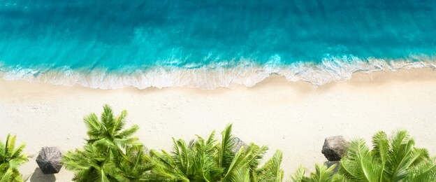 aerial top view on sand beach,palm tree and ocean