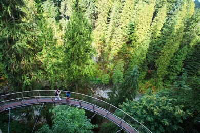 capilano suspension bridge, north vancouver, bc, canada