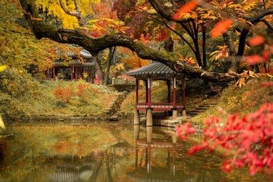 seoul, south korea - december 28, 2018: autumn season in garden of changdeokgung palace 