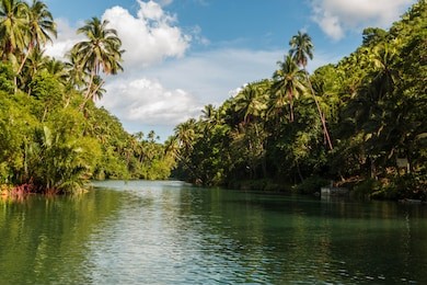 loboc river, one of the major tourist destinations of bohol