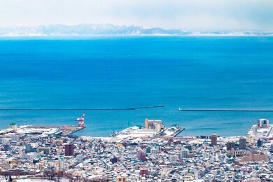 winter landscape view from mt. tengu in otaru city, hokkaido, japan