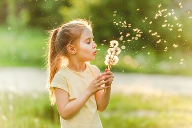 beatiful girl child loves to spend her leisure at meadow, collecting flowers and playing with dandelions