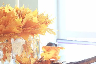 yellow leaves in a vase / autumn bouquet of maple leaves, autumn scenery at home, autumn view