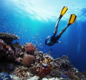 freediver gliding underwater over vivid coral reef