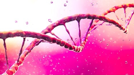 dna, deoxyribonucleic acid is a thread-like chain of nucleotides carrying the genetic instructions used in the growth, development, reproduction of organisms and many viruses. dna helix. 3d rendering