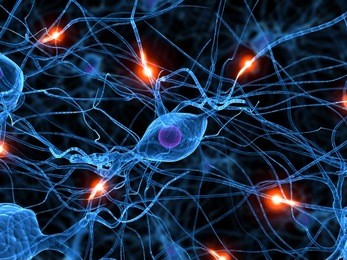 active nerve cell
