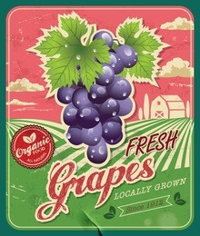 retro fresh grapes poster design
