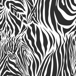 seamless vector black and white zebra fur pattern. stylish fashionable wild zebra print. animal print background for fabric, textile, design, advertising banner.