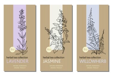 vector set of herbal tea labels with herbs and plants sketches: jasmine, lavender and willow herb. packaging template. healthy food, bio, organic, natural product, herbal tea.