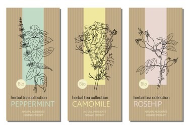 vector set of herbal tea labels with herbs and plants sketches: chamomile, peppermint and rose hip. packaging template. healthy food, bio, organic, natural product, herbal tea.